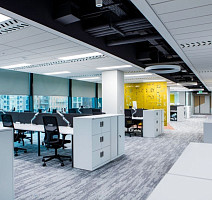 Shared Path на акустической основе Echo Acoustic 924 фото 5 | FLOORDEALER